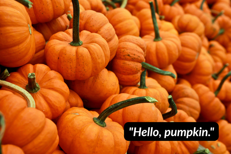 Orange pumpkins with a cute “Hello, pumpkin” fall quote.